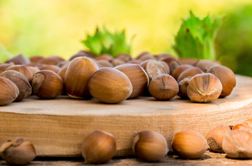 Hazelnuts, nuts, hazel, nut, bio
