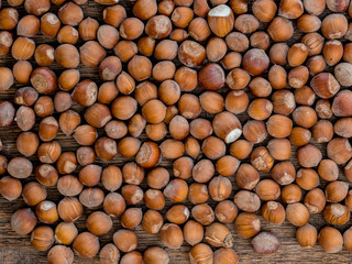 Hazelnuts, nuts, hazel, nut, bio