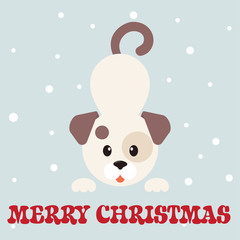 cartoon winter dog vector
