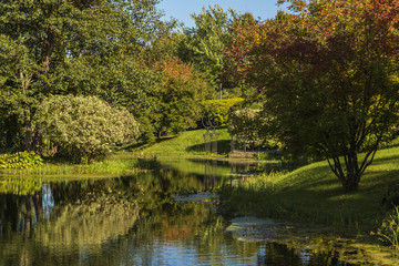 Autumn garden by a pond