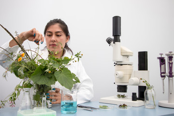 Young botanist at work, preparing fresh plant sample and examining specimen for further analysis