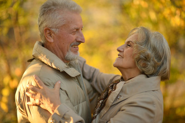 senior couple hugging   in the park 