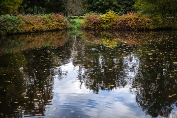 Obraz premium осенний парк