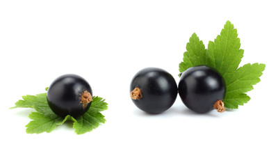 black currant with green leaf isolated on white background