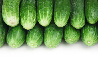 bunch of cucumbers