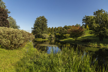 Autumn garden by a pond