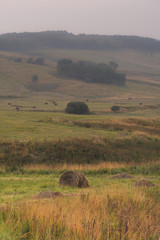 Summer landscape of oblique fields of the Caucasus with cylindrical bales of hay