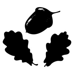 Ecology stylized vector illustration. Oak leaf, acorn and branch isolated silhouette. Eco nature seasonal graphic