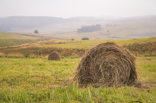 Round haystack on a sloping green field in cloudy weather