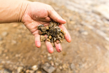 Small stones in the hand on the pond