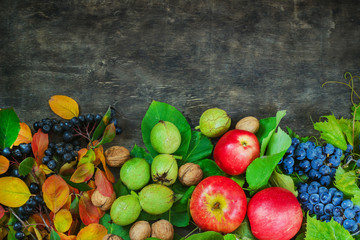 Assortment organic fruits berries apple grape damascene walnut rowanberry dark wooden country background health care natural concept top view