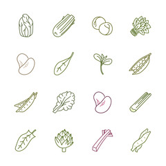 Vegetables icons - Lettuce, spinach, pea and beans