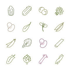 Vegetables icons - Lettuce, spinach, pea and beans