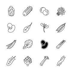 Vegetables icons - Lettuce, spinach, pea and beans