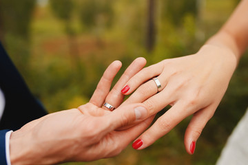 Fototapeta premium Marry me. Bride and groom's hands with wedding rings