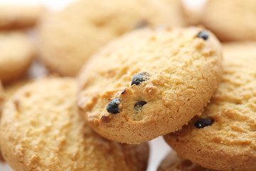 Chocolate chip cookie isolated in white background