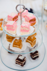 catering sweets. cake, cookies, cream, on a plate