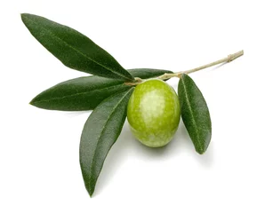 Tragetasche Olive © mates