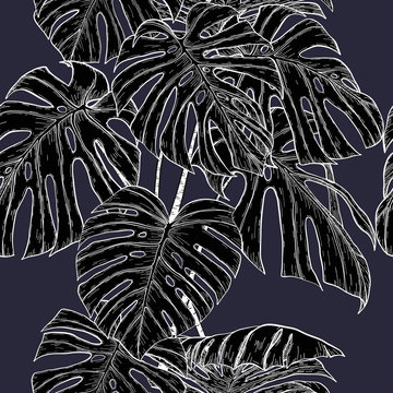 Monstera pattern by hand drawing.Monstera vector seamless on vintage background.Vector leaves art highly detailed in line art style.Monstera is plant of tropical.Leaf for paint to pattern or wallpaper