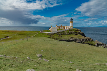 Fototapeta na wymiar wildlife of green Scotland in england Skye Island