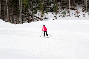 skier is skiing down the slope in the woods