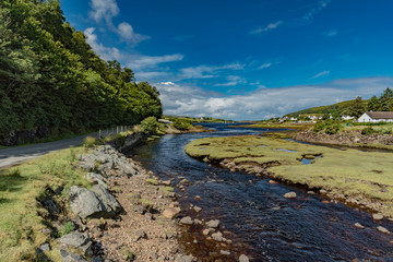 wildlife of green Scotland in england Skye Island