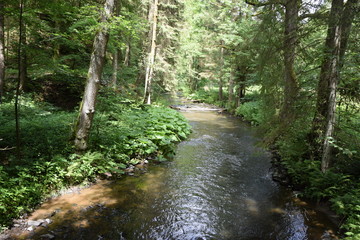 Ölschnitz bei Bad Berneck