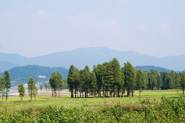 Obraz premium beautiful green plant and high mountain