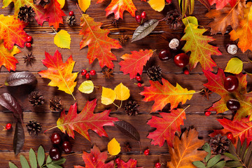 Autumn background with yellow, with bright leaves, pine cones, chestnuts and berries. Frame autumn harvest on seasoned wood with copy space. The layout offers and seasonal holiday card