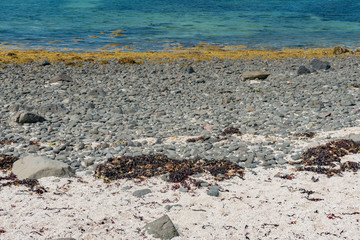 lands between sea and sky with green meadows of Scotland in England
