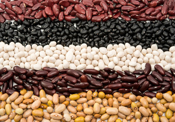 set of different beans isolated