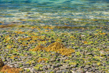 lands between sea and sky with green meadows of Scotland in England