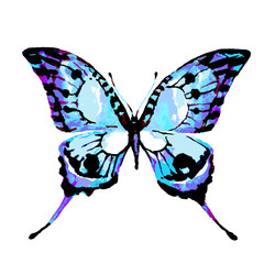 beautiful blue  butterfly,watercolor,isolated on a white