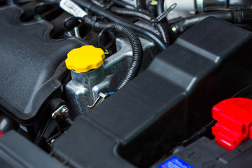 Computer diagnostics of the car.