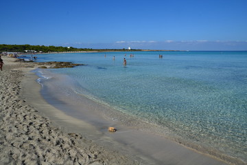 Salento - spiggia di Punta Pizzo
