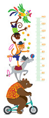 Fototapeta premium Funny circus animals. Meter wall or height chart