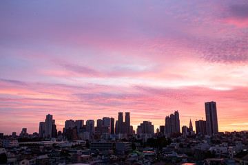 Fototapeta premium Tokio, wschód słońca, Shinjuku, wieżowce
