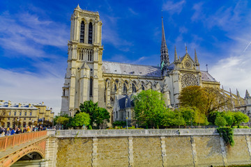 Fototapeta na wymiar Notre Dame in Paris, in the autumn