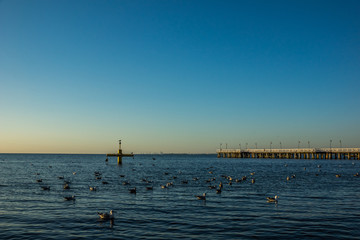 Baltic pier in Gdynia Orlowo at sunny day, Pomorze, Poland