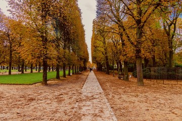 Fototapeta premium autumn in park in Luxembourg in Paris
