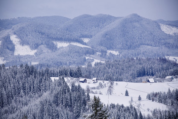 beautiful snowy landscape. Beautiful winter view 