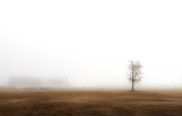 Fototapeta na wymiar Fog in city