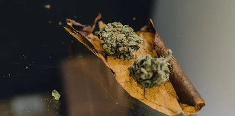 Fotobehang weed blunt close-up..two buds of marijuana lying on a cigarette sheet © contentdealer