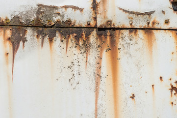rusted metal sheet