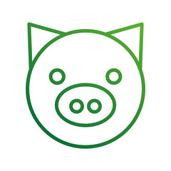 pig domestic farm animal mammal