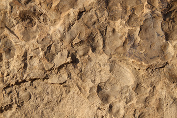 Stone Texture