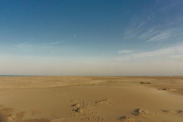 Fototapeta na wymiar Dunes of El Fangar beach, Ebro Delta, Catalonia, Spain
