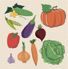 vegetables set