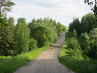 Fototapeta na wymiar Country road.. The Nature Of The Bryansk Region. (The Vast Russia! Sergey, Bryansk.)