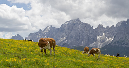 Wandern am Kranischen H&ouml;henweg in S&uuml;dtirol mit blick auf die Dolomiten